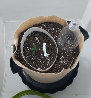 20230429_103802.jpg 20230429_103802.jpg