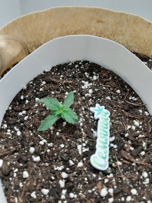 20230429_103722.jpg 20230429_103722.jpg