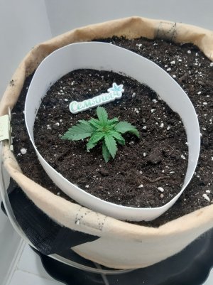 20230430_074508.jpg 20230430_074508.jpg