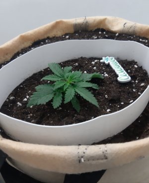 20230430_075501.jpg 20230430_075501.jpg