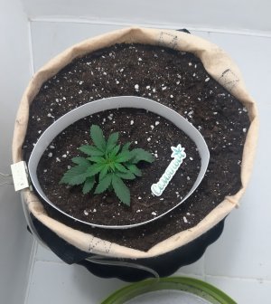 20230430_075807.jpg 20230430_075807.jpg