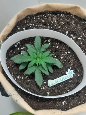 20230501_104620.jpg 20230501_104620.jpg