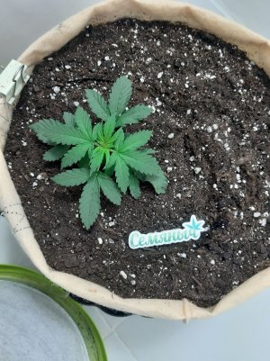 20230501_110107.jpg 20230501_110107.jpg