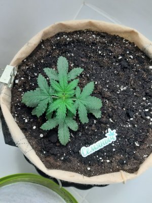 20230501_112237.jpg 20230501_112237.jpg