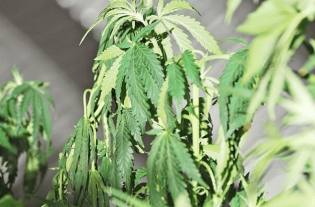 1683116811239.png 1683116811239.png