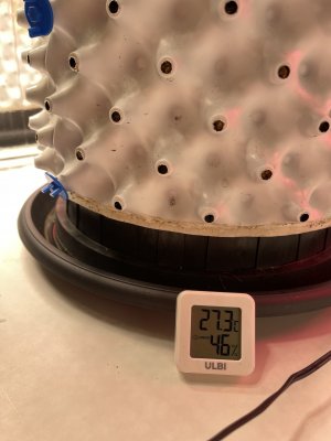 IMG_2087.jpeg IMG_2087.jpeg