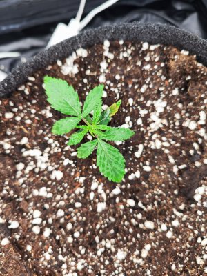 IMG_20230504_180956.jpg IMG_20230504_180956.jpg