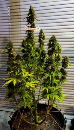 Screenshot_2023-05-04-22-52-02-252_com.miui.gallery-edit.jpg Screenshot_2023-05-04-22-52-02-252_com.miui.gallery-edit.jpg