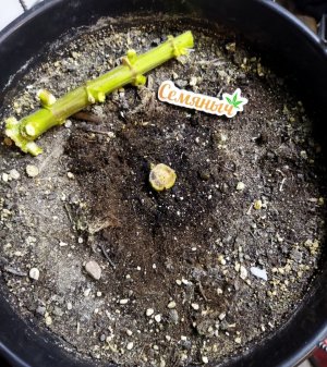 Screenshot_2023-05-04-22-55-00-104_com.miui.gallery-edit.jpg Screenshot_2023-05-04-22-55-00-104_com.miui.gallery-edit.jpg