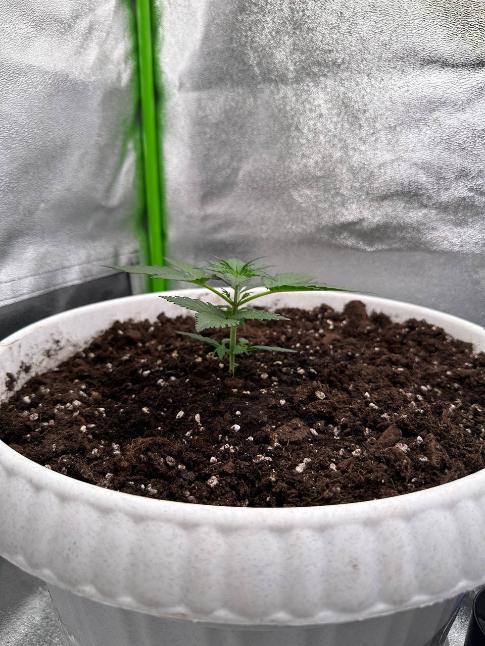 34FE0149-D8A8-479E-8DCA-B4F609EF4091.jpeg 34FE0149-D8A8-479E-8DCA-B4F609EF4091.jpeg