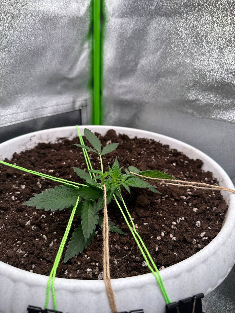 86D8160B-07DF-47C7-B712-D8AC8DF64147.jpeg 86D8160B-07DF-47C7-B712-D8AC8DF64147.jpeg