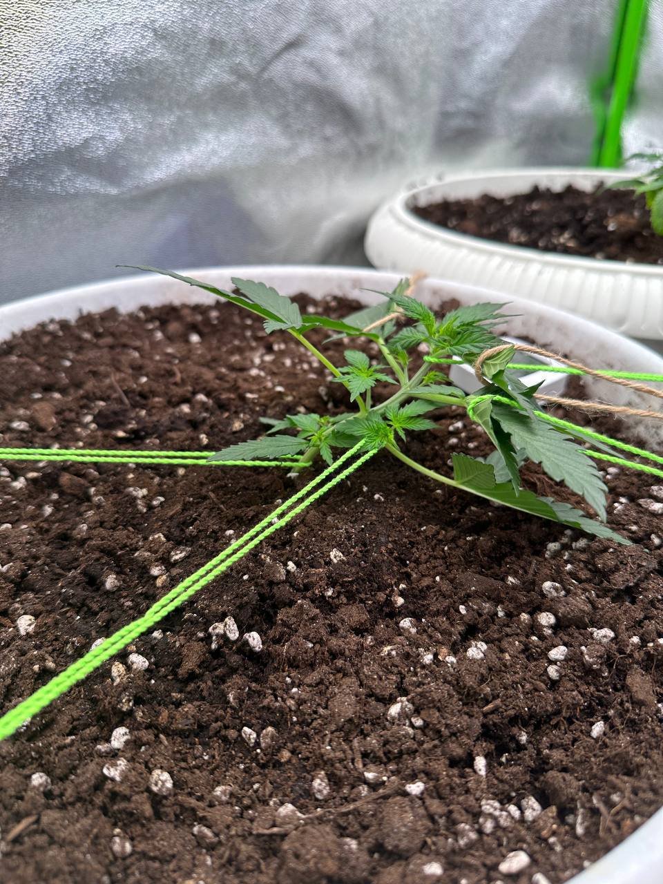 55821268-D83B-4EAB-B749-4F3CE4CE2C5E.jpeg 55821268-D83B-4EAB-B749-4F3CE4CE2C5E.jpeg