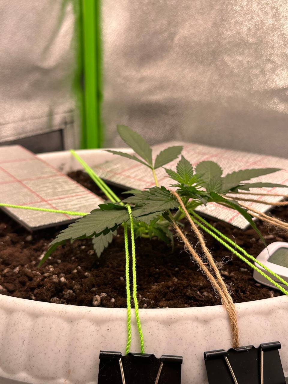 272BE71F-9EE0-4D90-A648-B1B46CDE3F77.jpeg 272BE71F-9EE0-4D90-A648-B1B46CDE3F77.jpeg