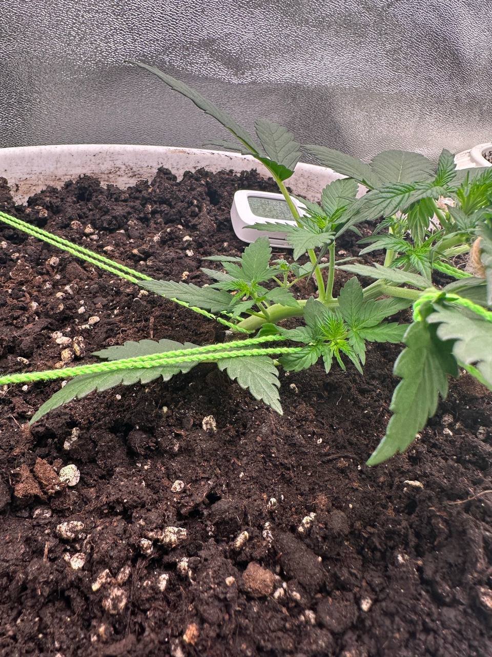 8CDF2337-2B16-41C9-907B-D194F8FE0251.jpeg 8CDF2337-2B16-41C9-907B-D194F8FE0251.jpeg