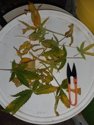 20230513_101723.jpg 20230513_101723.jpg