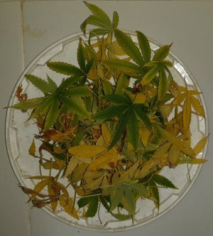 20230513_104911.jpg 20230513_104911.jpg