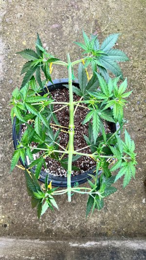 EE243DE1-8624-448C-8BD1-AECA0E380E26.jpeg EE243DE1-8624-448C-8BD1-AECA0E380E26.jpeg