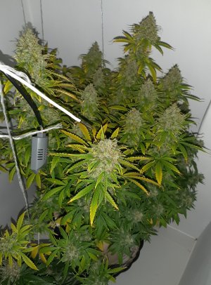 20230515_164520.jpg 20230515_164520.jpg