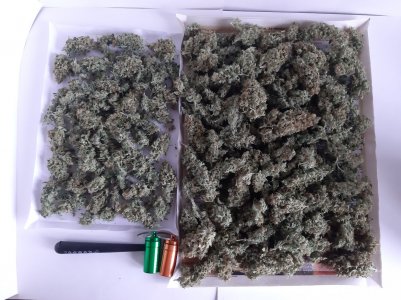 20230518_175706.jpg 20230518_175706.jpg