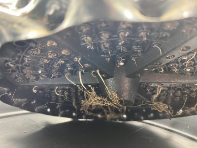 612E9373-30B6-4751-83B8-AC0E03968BA6.jpeg 612E9373-30B6-4751-83B8-AC0E03968BA6.jpeg