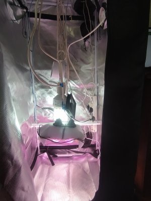 IMG_20230523_165103.jpg IMG_20230523_165103.jpg