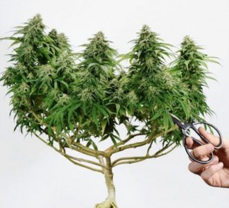 IMG_9449.jpeg IMG_9449.jpeg