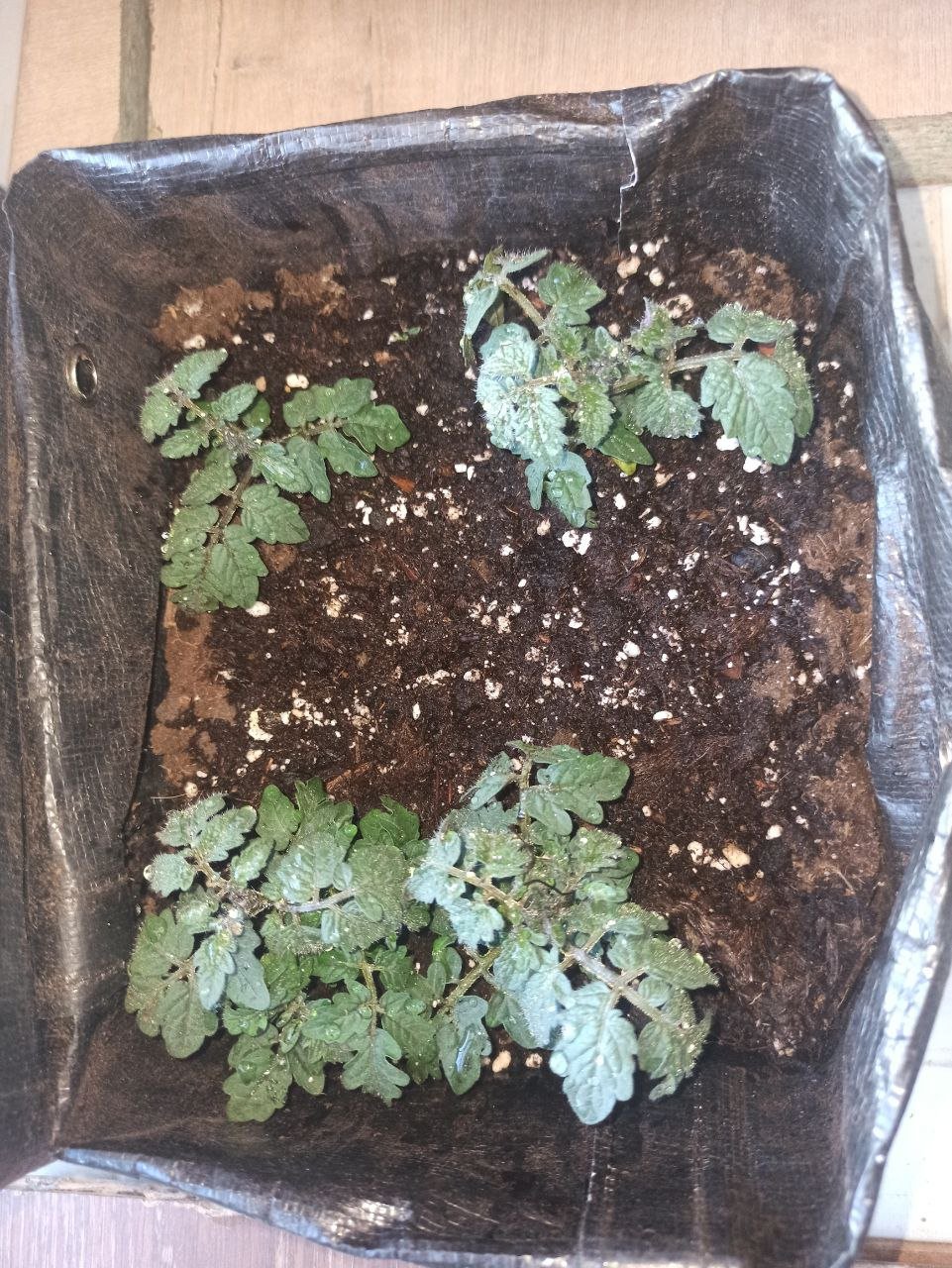 photo_2023-05-25_06-58-03.jpg photo_2023-05-25_06-58-03.jpg