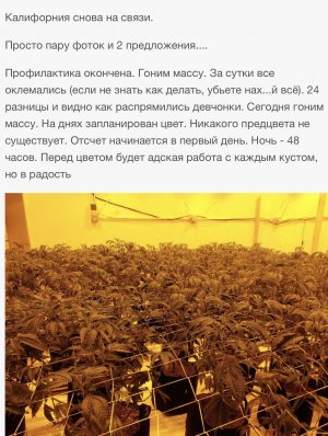 IMG_4927.jpeg IMG_4927.jpeg