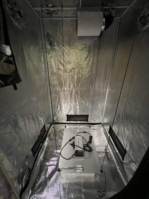 7842A23B-3251-46EA-8732-2AA74B9D80E5.jpeg 7842A23B-3251-46EA-8732-2AA74B9D80E5.jpeg