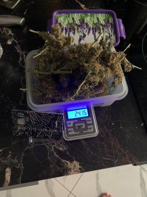 1685772442081.png 1685772442081.png