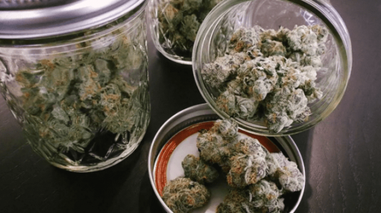 Hranenir shishek konopli.png