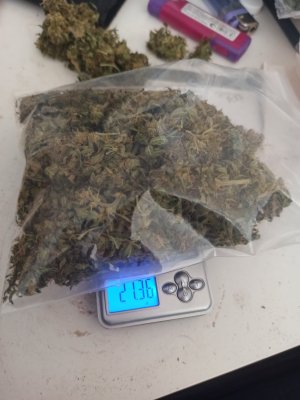 IMG_20230611_184644.jpg IMG_20230611_184644.jpg