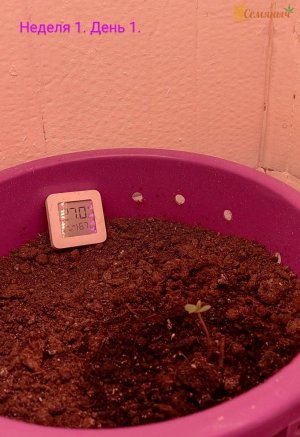 Picsart_23-06-23_09-12-48-360.jpg Picsart_23-06-23_09-12-48-360.jpg