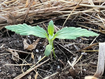 8FAD4EB3-B321-49D0-9578-5CB4B72FADF4.jpeg 8FAD4EB3-B321-49D0-9578-5CB4B72FADF4.jpeg