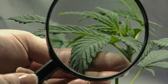 1688646310958.png 1688646310958.png