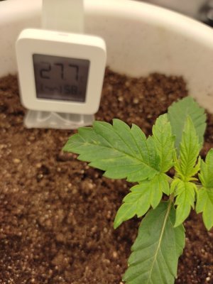 IMG_20230707_165123.jpg IMG_20230707_165123.jpg