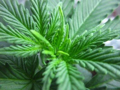 photo_2023-07-09_18-34-31 (5).jpg