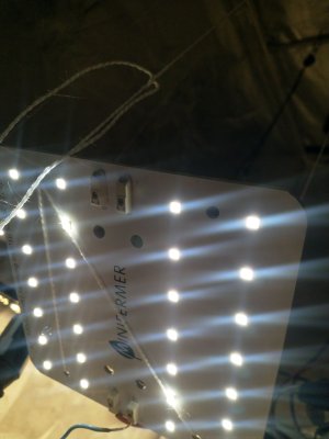 IMG_20220103_162248_594.jpg IMG_20220103_162248_594.jpg