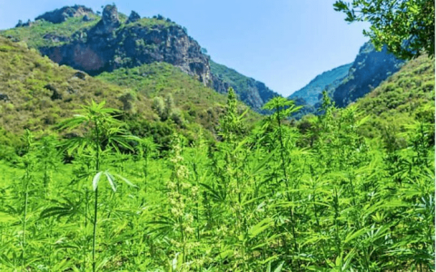 1641573766361.png 1641573766361.png