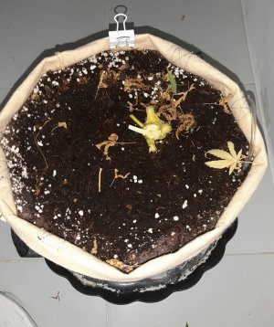 20230716_082125.jpg 20230716_082125.jpg