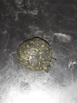 photo_2023-07-17_05-01-04.jpg photo_2023-07-17_05-01-04.jpg