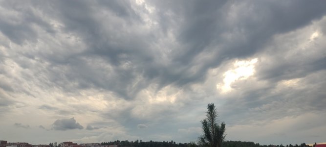 IMG_20230717_182632.jpg IMG_20230717_182632.jpg