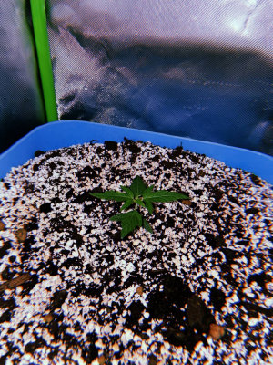 1689924517831.png 1689924517831.png