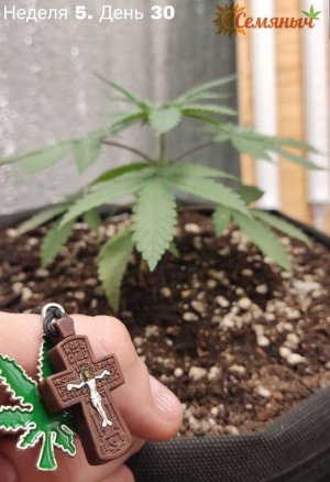 Picsart_23-07-22_18-10-38-832.jpg Picsart_23-07-22_18-10-38-832.jpg