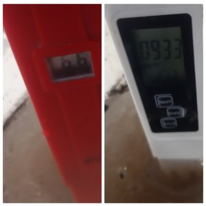 MyCollages.jpg MyCollages.jpg