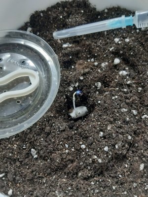 20230802_181336.jpg 20230802_181336.jpg