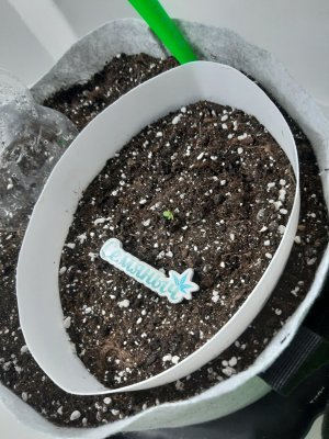 20230803_200639.jpg 20230803_200639.jpg