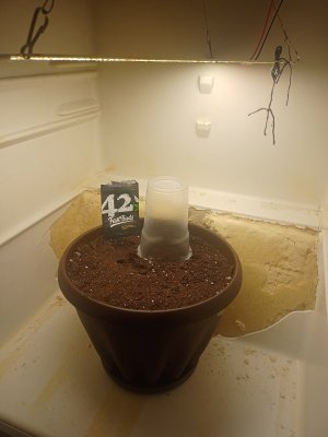 16911379973554206550634987834741.jpg 16911379973554206550634987834741.jpg