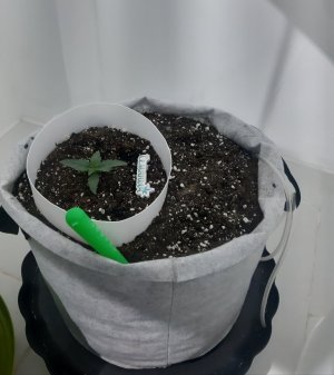 20230804_173017.jpg 20230804_173017.jpg