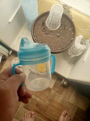 IMG20230806135121.jpg IMG20230806135121.jpg